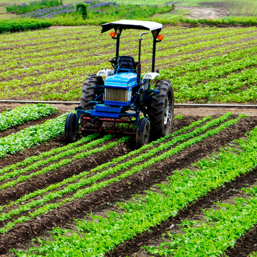 AGRICULTURA 